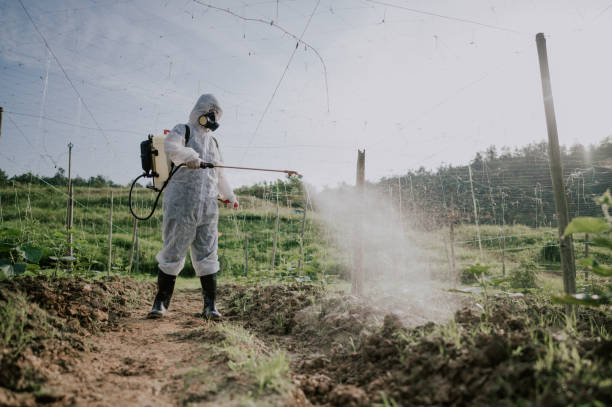 Best Commercial Pest Control Services  in Algona, WA