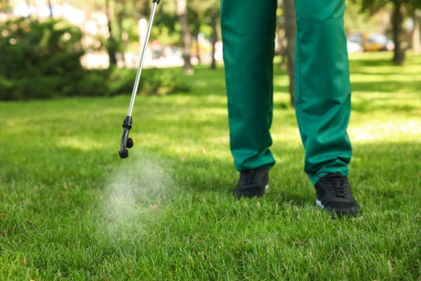 Best Affordable Pest Control Services  in Algona, WA