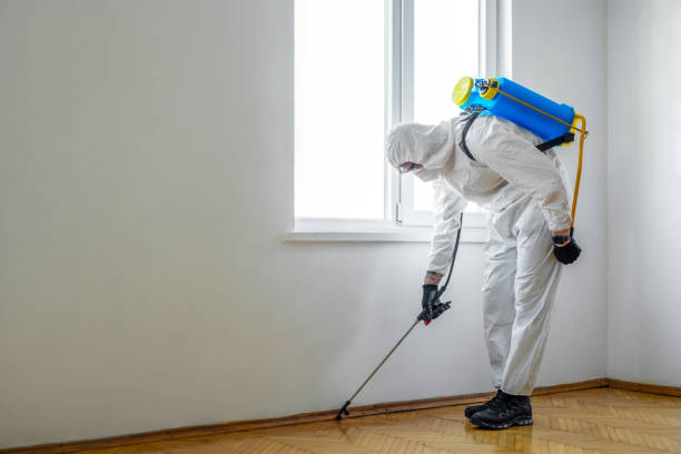 Best Local Pest Control Services  in Algona, WA