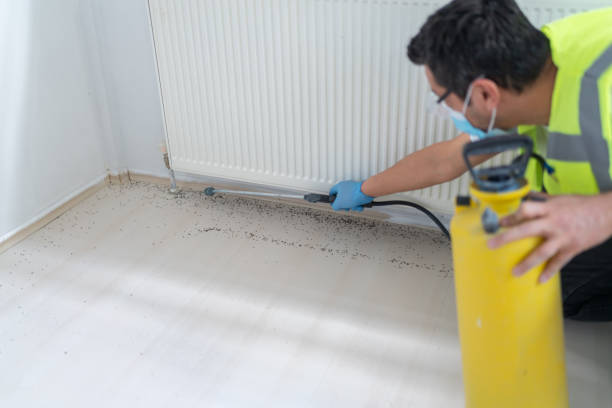 Best Cockroach Control Services  in Algona, WA