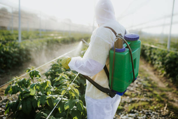 Best Exterminator Services  in Algona, WA